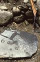 WT 1000 148-27 Nepal Water Spout